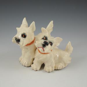 Pair of West Highland White Terrier Puppies